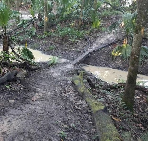 The skinny train tie crossing on Wild Turkey trail.