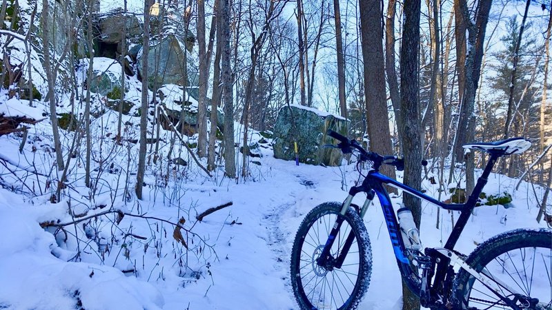 Snowy Day on Thunder Bunny in December