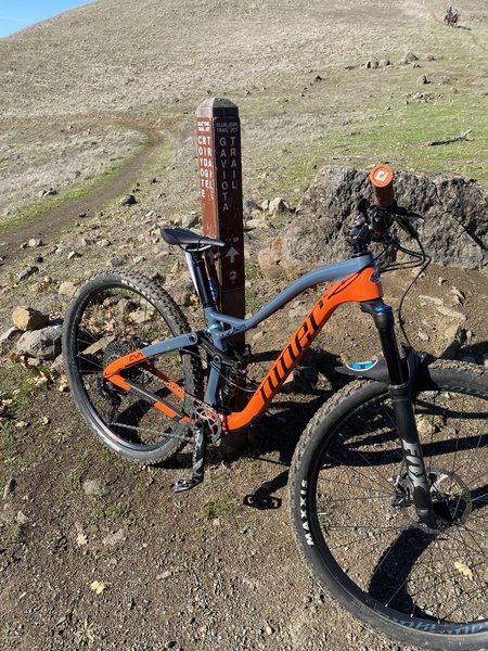 Trails are round down by cow tracks and some muddy areas