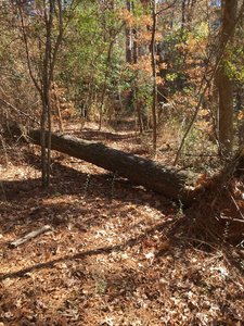 1 Accolade, 1 Criticism