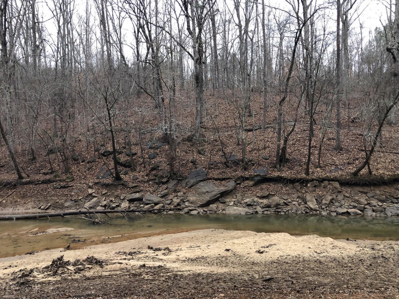 Great view and opportunity to heckle riders on a Hocus Pocus technical section across the creek.