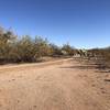 Intersection to the new loop, looking right from the Burro Pit loop