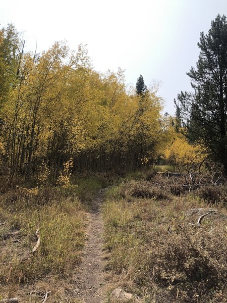 Fall Foliage - heading south from the lake