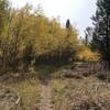 Fall Foliage - heading south from the lake