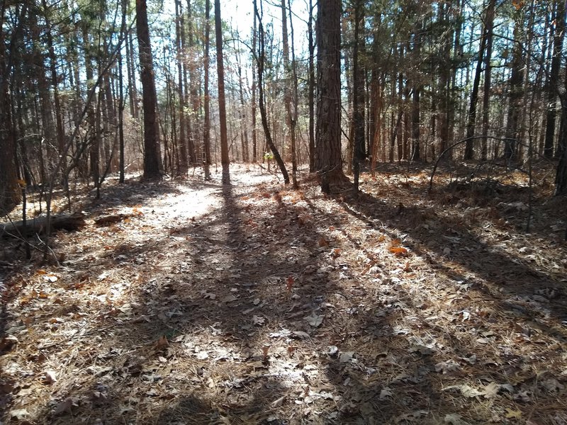 Just general view of how parts of the trail look in December.