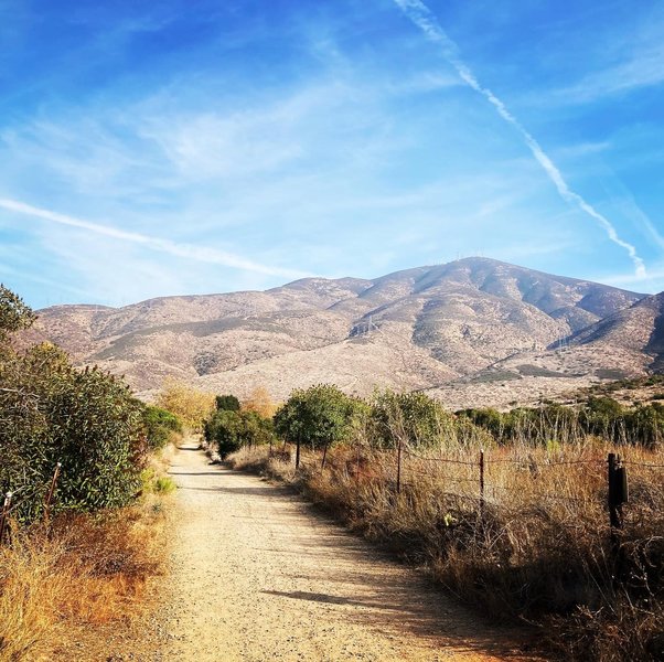 Gravel road/trail portion of the ride