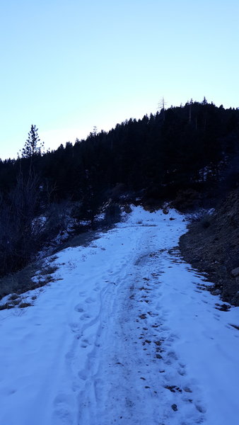 First climb past the "Colorado Trail 1776" Entrance Sign