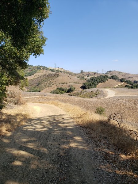 This trail is a better option for people (e.g. kids) who don't like as much climb from the lower park entrances, but still want to see the mining ruins.  There are still hills, but not as much of a grind.