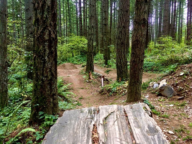 Drop to the left side of the trail