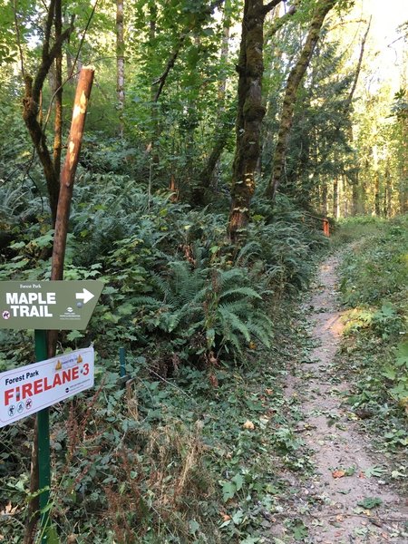 The bottom of firelane 3 at Lief Erickson rd. It is a great fast downhill in the dry summer months.