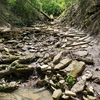 This is the creek crossing near the parking lot on Shepherd Creek road. This is part of The Falls trail.