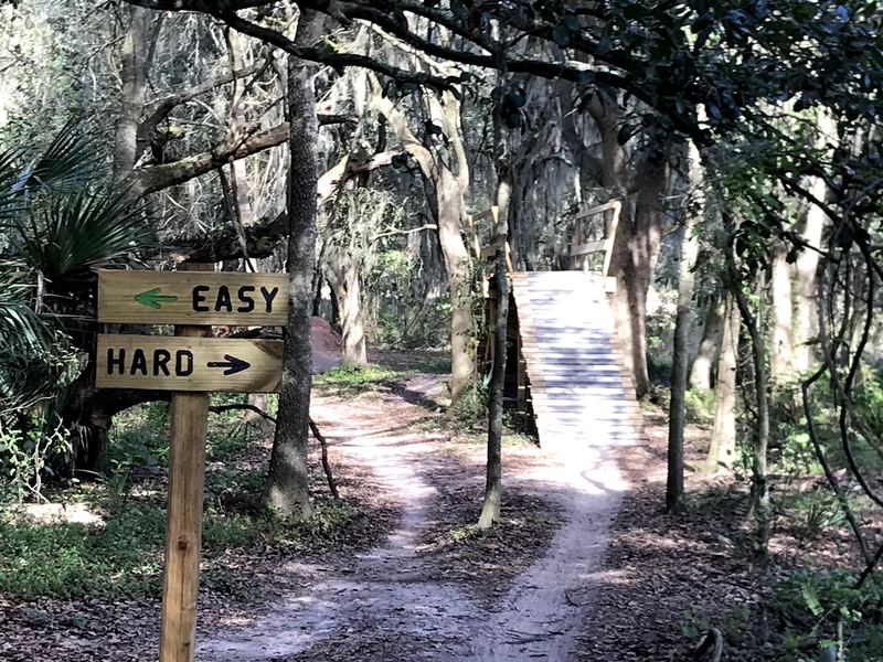 Sample of one of the cool wooden features on this trail. Note the signage - very helpful for those who want to bypass. :)