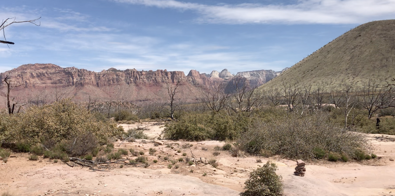 Remember what the ridgeline and the cindercone on the right look like at the trailhead to get you back! It's easy to get lost!