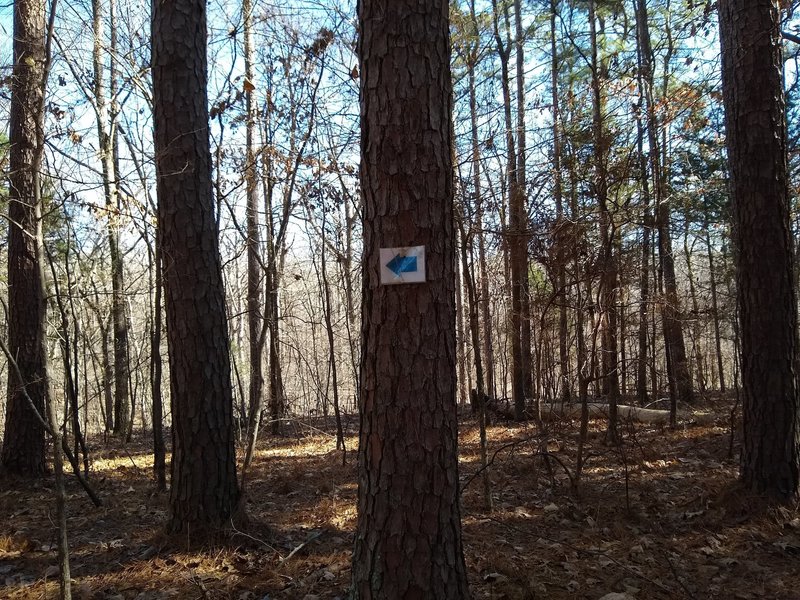 For the short loop I rode, I went to the right at this sign instead of the left.