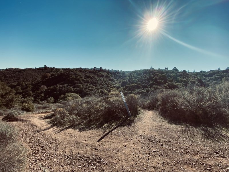 At the top of Chaparral, coming from John Brooks Trail.