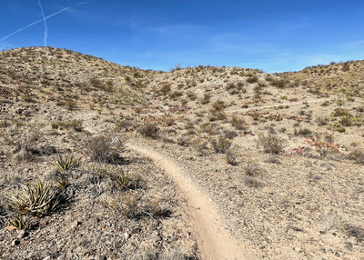 Climbing north on Lost and Found