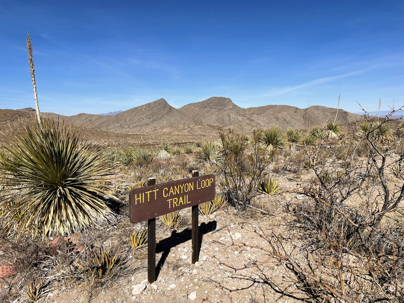 Trail Sign at Hitt Canyon