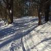 view of fatbike trail where it intersects the ski trail somewhere near the ponds