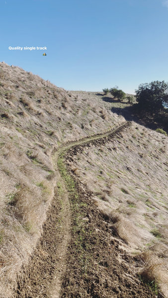 Singletrack.