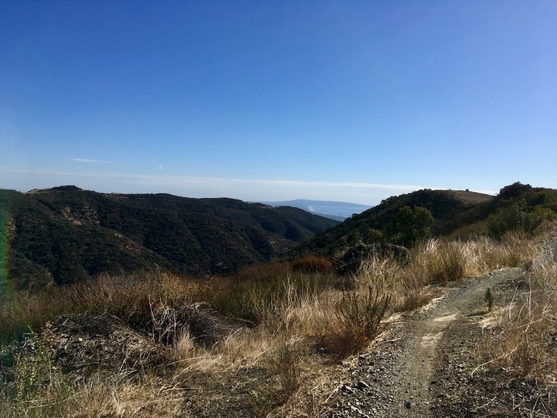 Upper Sullivan Ridge SingleTrack