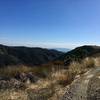 Upper Sullivan Ridge SingleTrack