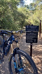 Backbone at Yerba Buena