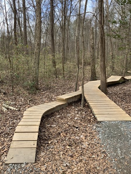 One of the boardwalks on the green boardwalk trail