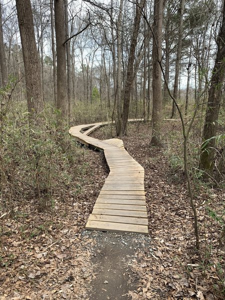 Another boardwalk on the green boardwalk trail