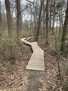 Another boardwalk on the green boardwalk trail