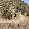 Climb to start of South Butte Loop