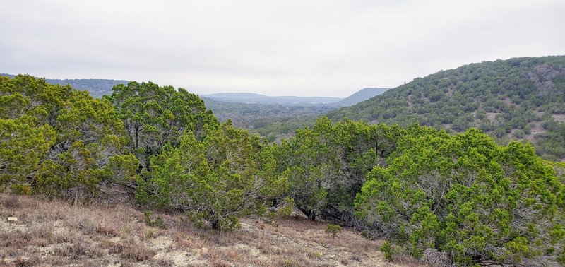 More Hill Country views