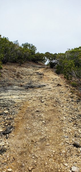 More steep and rocky trail views