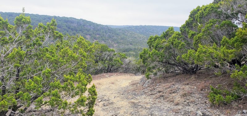 The trails are well maintained and wide