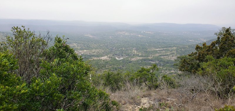 High up in the park