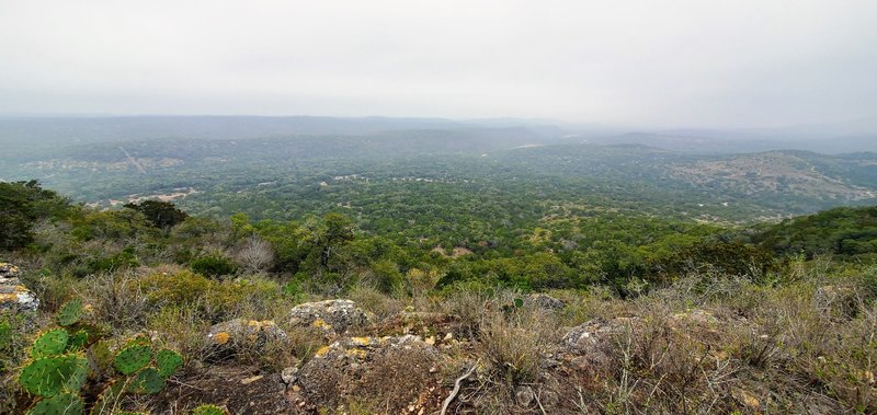 High up in the park