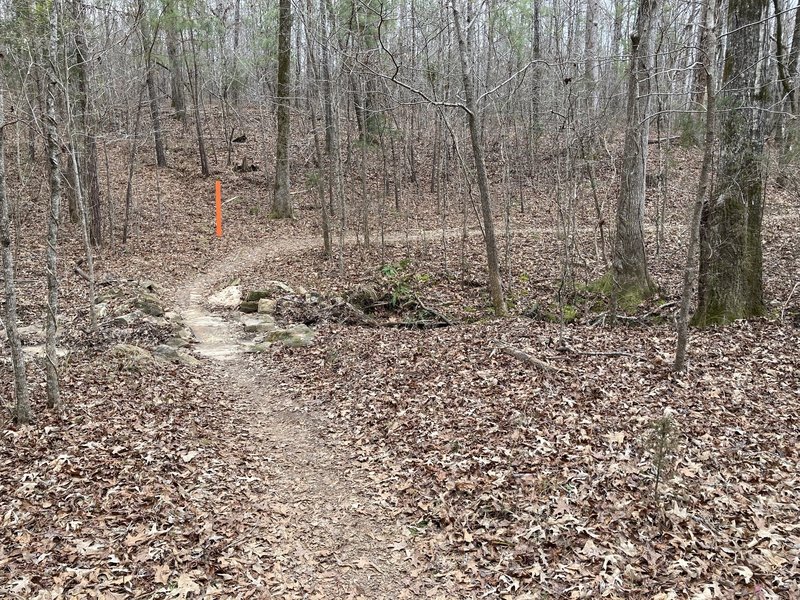 One of the armored creek crossings