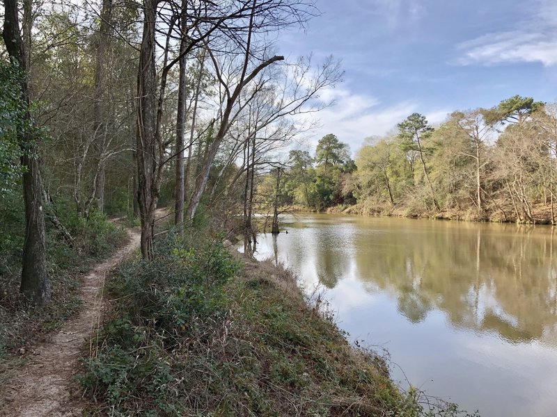 View of the trail as it runs along Caney Creek.