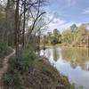 View of the trail as it runs along Caney Creek.