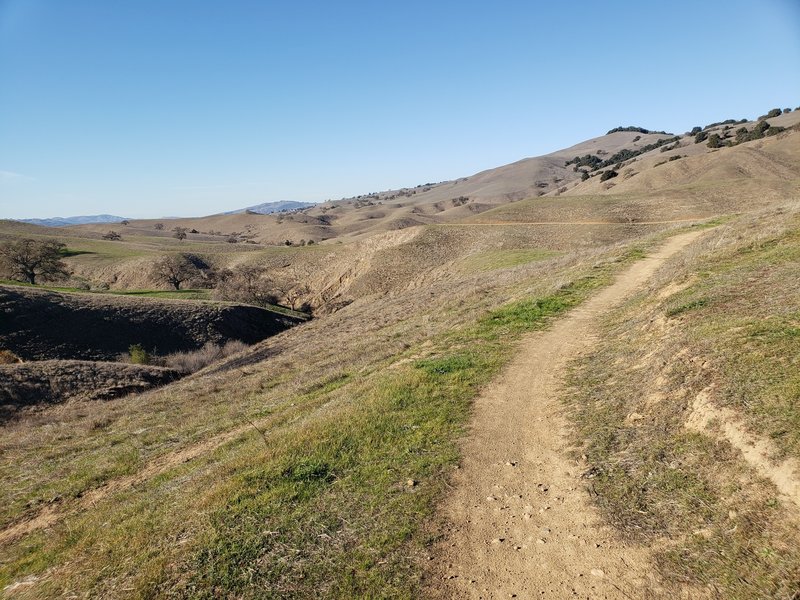 At the end of the downhill section, there is a short section with some nice rolling bits and no overall elevation changes.