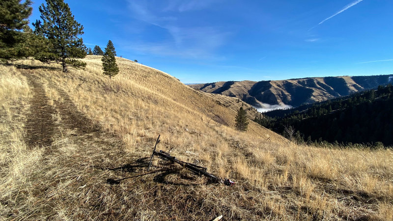 Top of the Pinkham trailhead #1.  The trail slants toward the right and heads into the drainage ( shade ) and the fog.