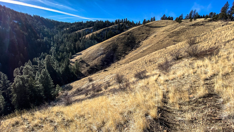 View if you head down Pinkham trail #1.  Trail #2 is about 2 miles away - see gps route map.