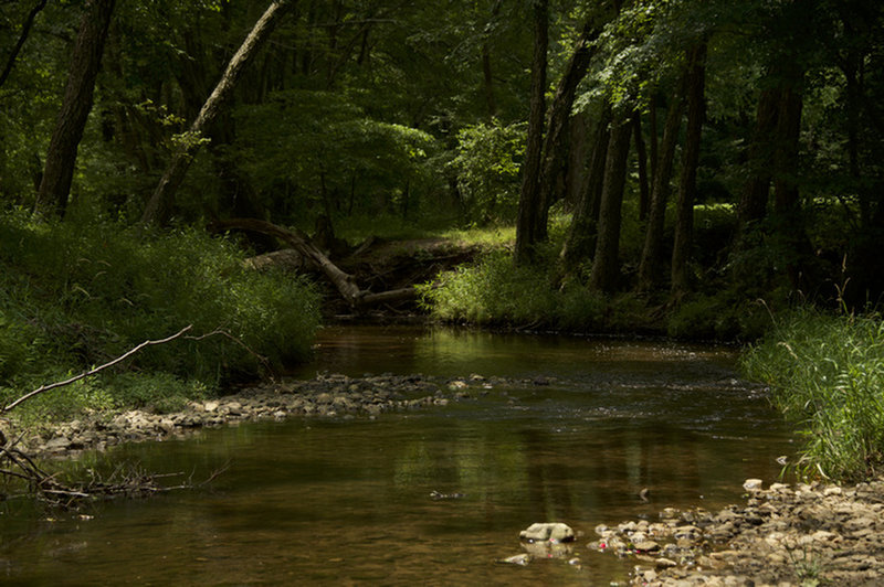 very short singletrack along Powder Mill creek connects to a bobcat made trail that goes to the three bridges