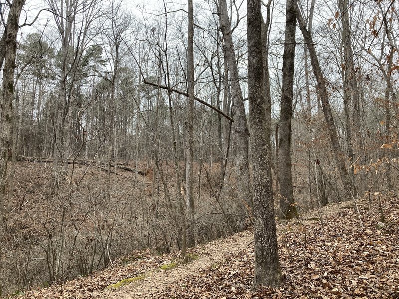 Trail along the north loop in winter