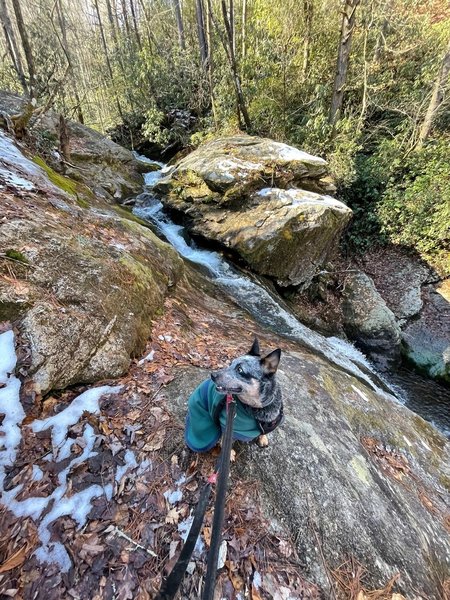 Some of the waterfalls seen towards the bottom of the trail