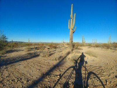This is the top (upslope start) of "Floaty McZebratail" (to left) as viewed at the turn from "D to FMZ Connector" (to right).