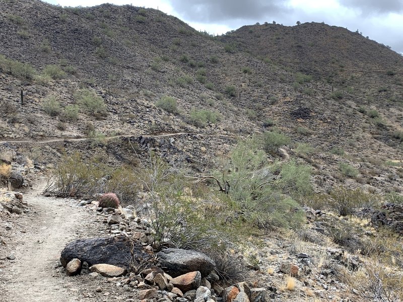 Undulating gradual switchbacks are as enjoyable uphill as they are going down, with the occasional rock hop.