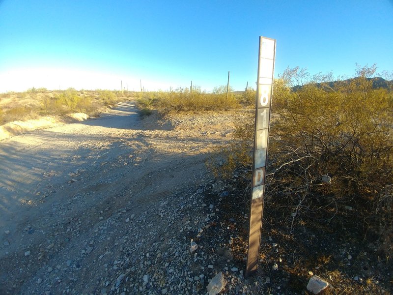 This is the trail marker for the "D-road Climb" (BLM 8112D) at the bottom, looking East from the main road (Rasmussen Extended).