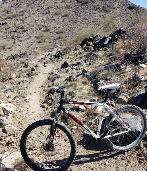 On the trail with my budget hardtail. Not an easy ride on cheap stuff.