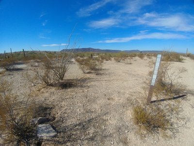 Trailhead for 8111C north (right side of screen) off of Rasmussen Road Extended (main trail, left side of screen), looking west just north of the trail junction.