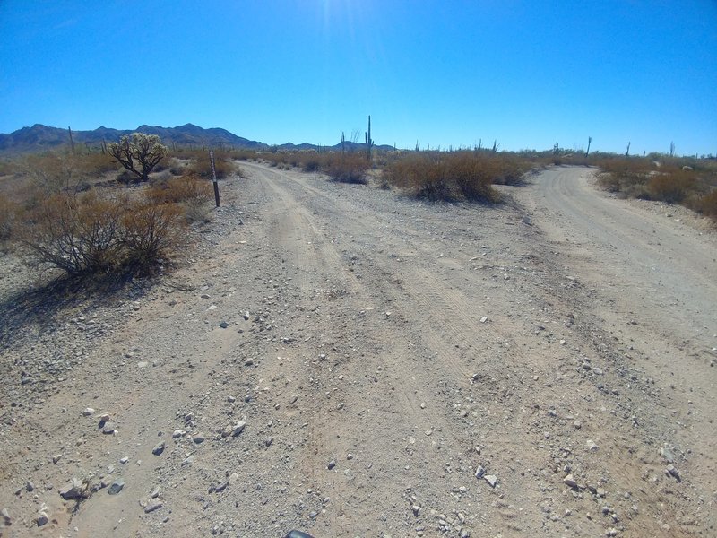 This is the trailhead for Into The Vortex (8112J, to left) from the main road (Rasmussen Road Extended, to right), looking southwest.